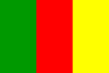 GAA Colours of Carlow