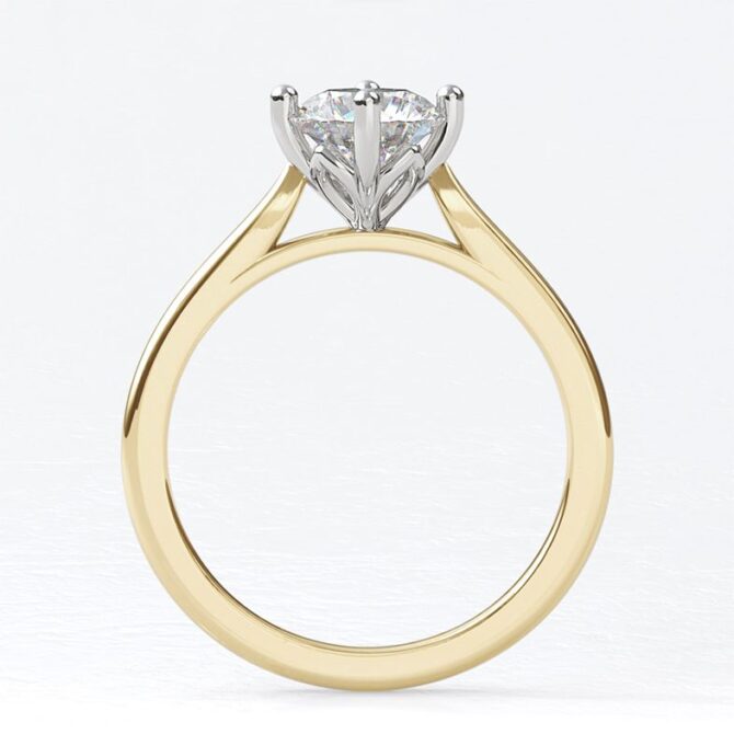 sb1978-bespoke-designed-compass-set-solitaire-diamond-ring-image-2