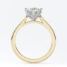 sb1978-bespoke-designed-compass-set-solitaire-diamond-ring-image-2