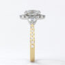 Custom Made Side Stone Engagement Ring SB3886 image 3