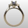 Custom Made Double Halo Side Stone Engagement Ring SB3164 image 3