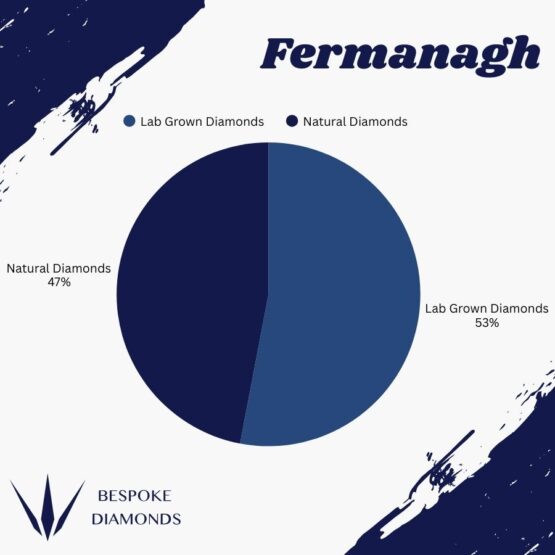 Fermanagh Lab v Natural 2025