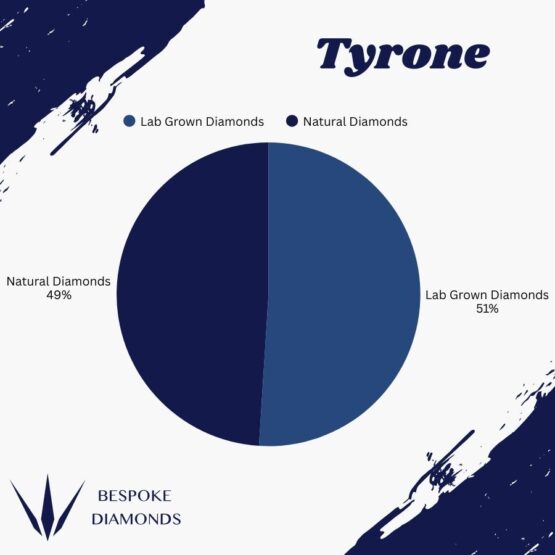 Tyrone Lab v Natural 2025